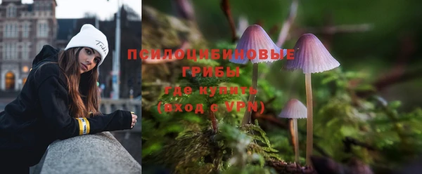 мдпв Богородицк