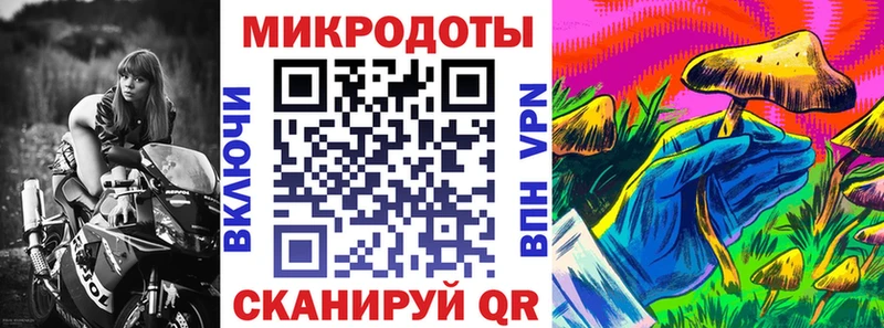 Псилоцибиновые грибы Psilocybine cubensis  сколько стоит  Елабуга 
