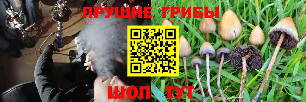 Галлюциногенные грибы ЛСД Елабуга