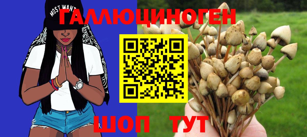 Елабуга  Галлюциногенные грибы GOLDEN TEACHER  закладка  Вход с VPN 