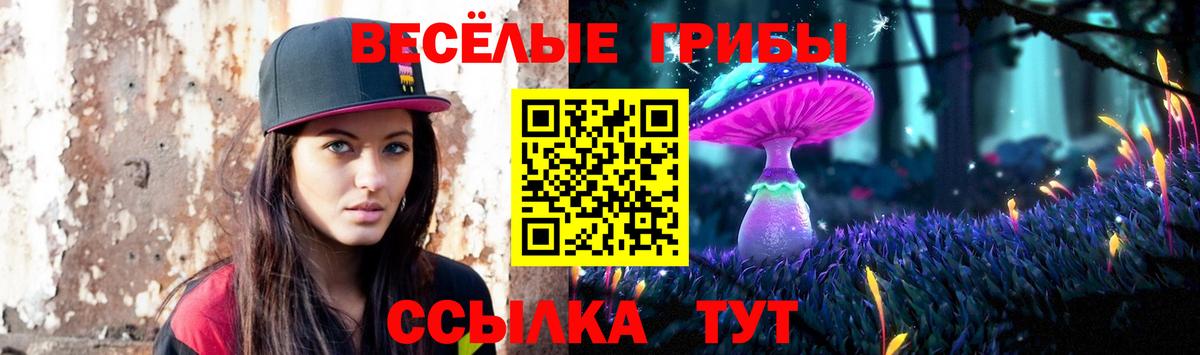 Галлюциногенные грибы Psilocybe Елабуга
